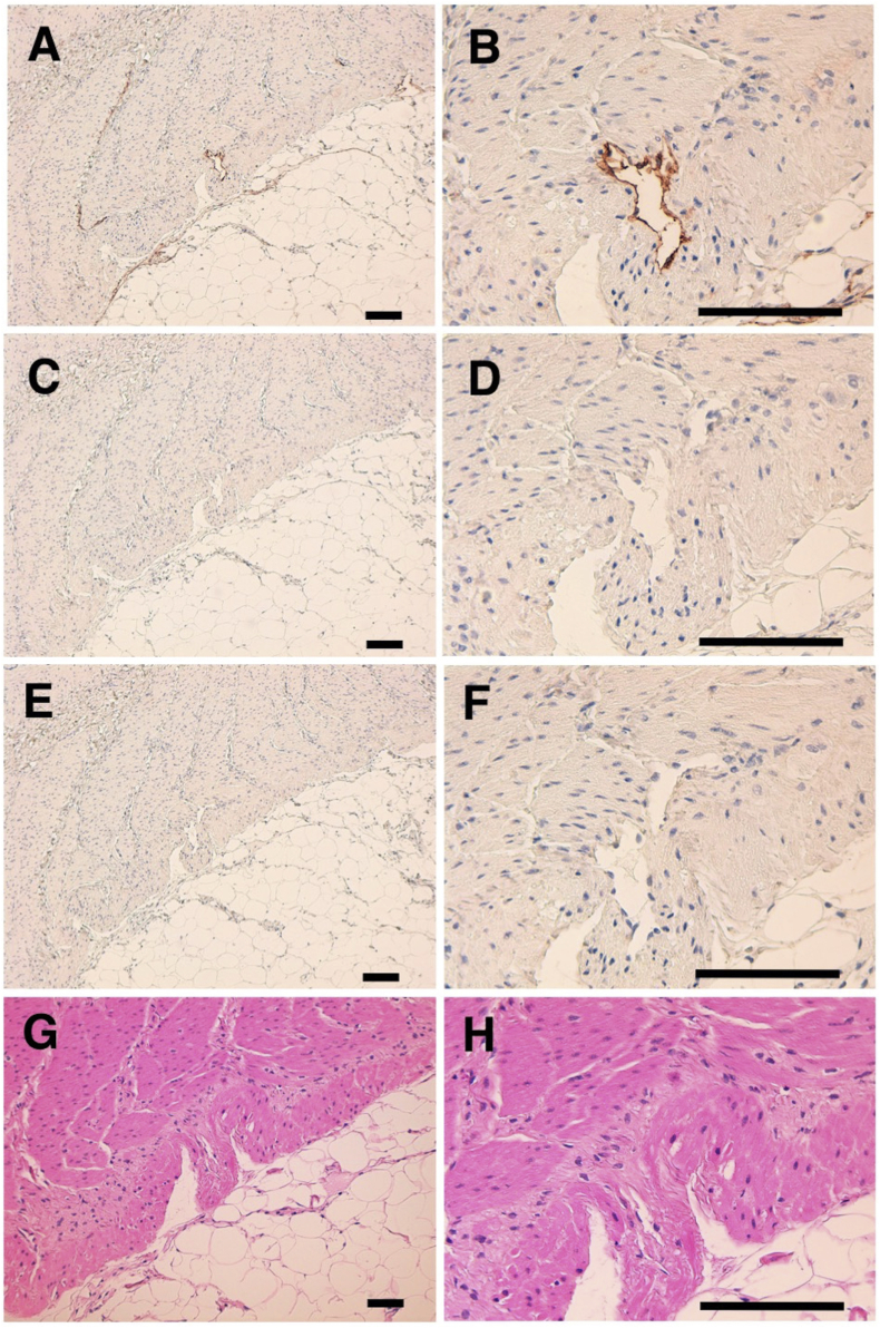 Fig. 6