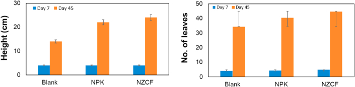 Figure 5