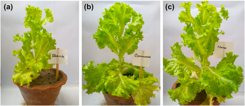 Figure 6