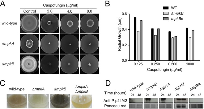 FIG 4