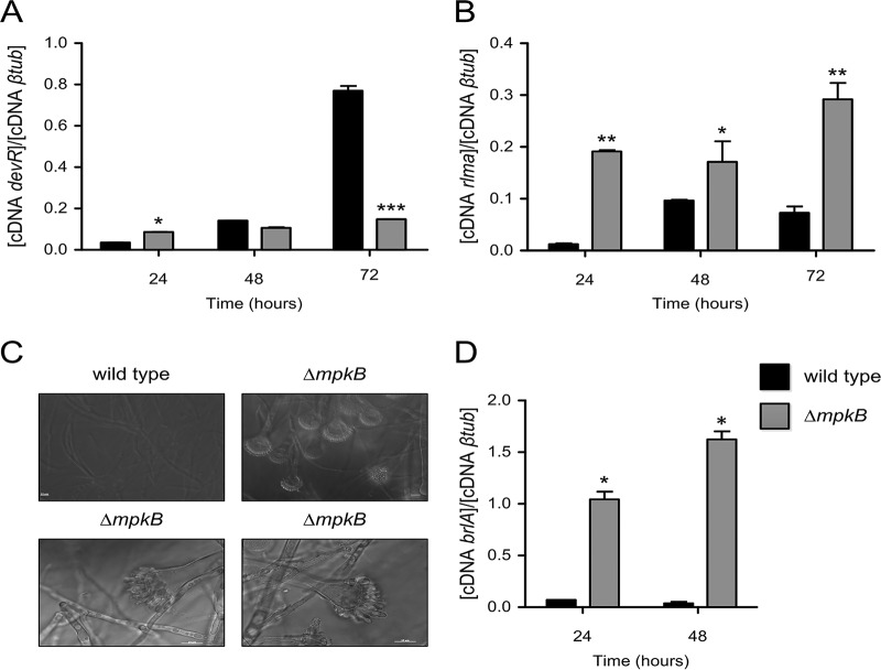 FIG 2