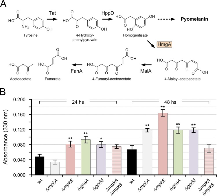 FIG 6