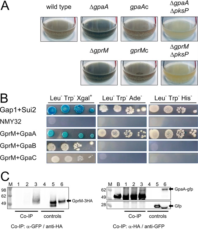 FIG 3