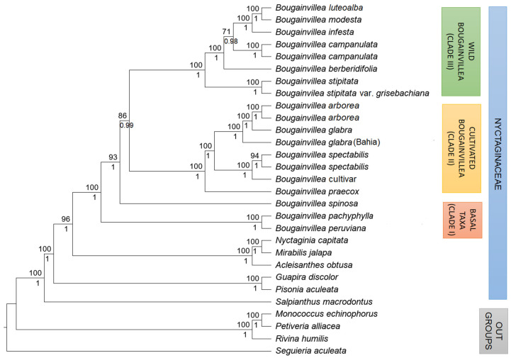 Figure 4