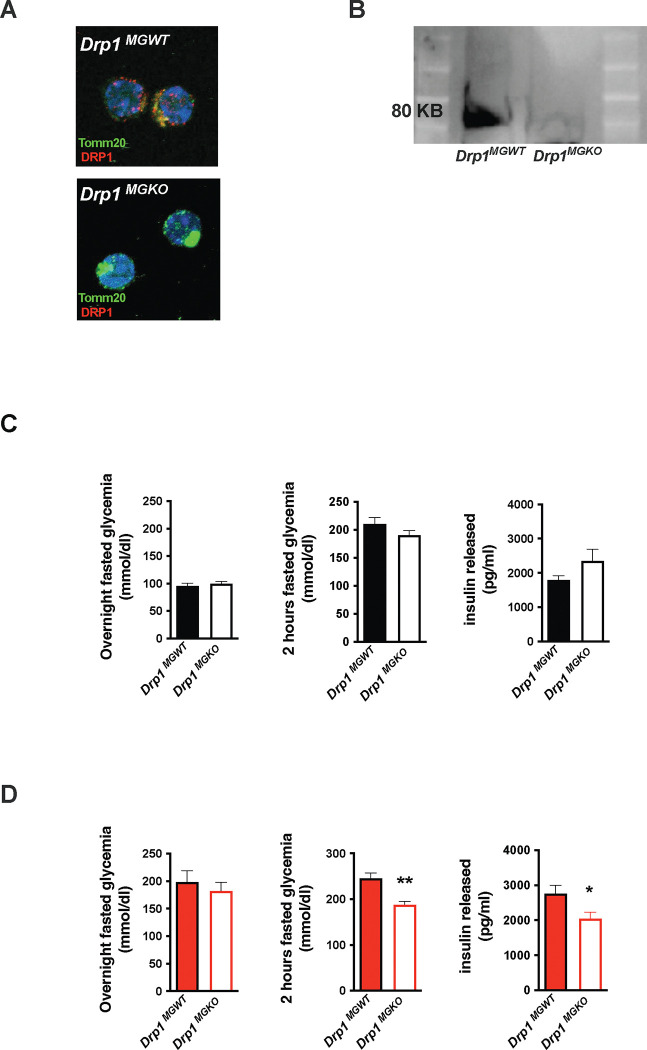 FIGURE 3: