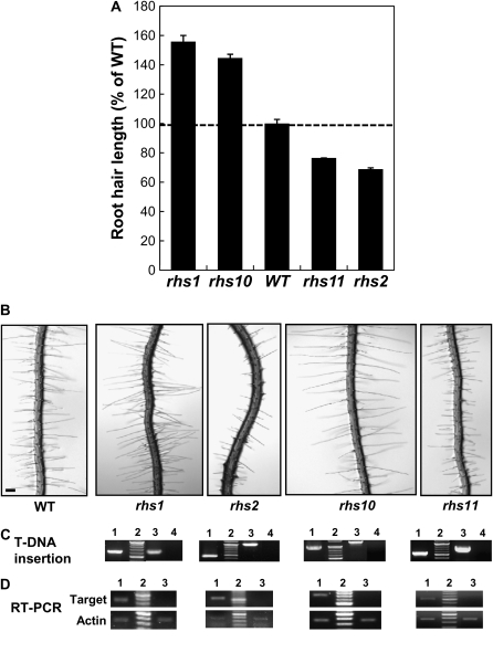 Figure 5.