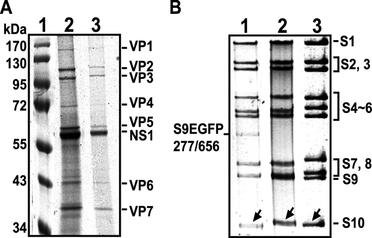 FIG. 5.