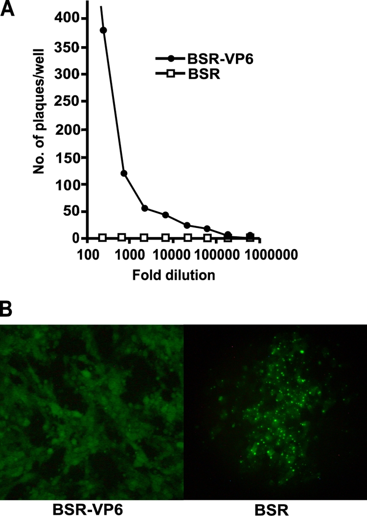 FIG. 6.