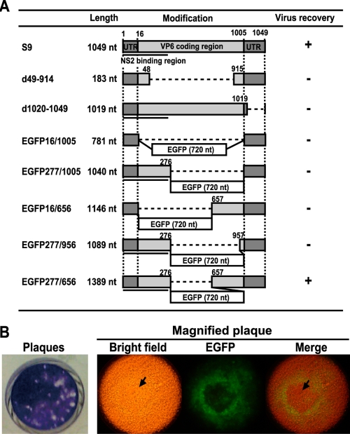 FIG. 4.