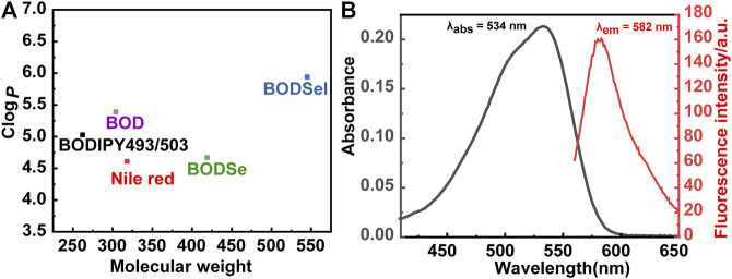 FIGURE 2