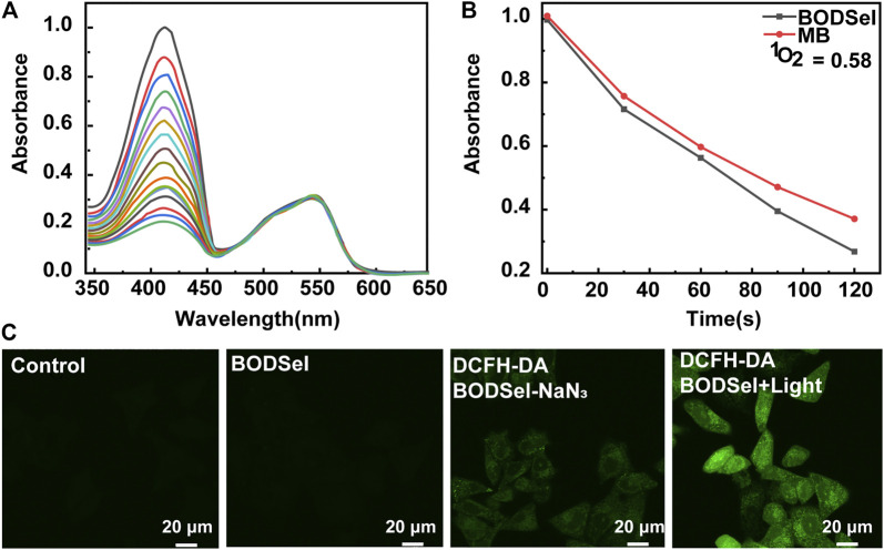 FIGURE 3