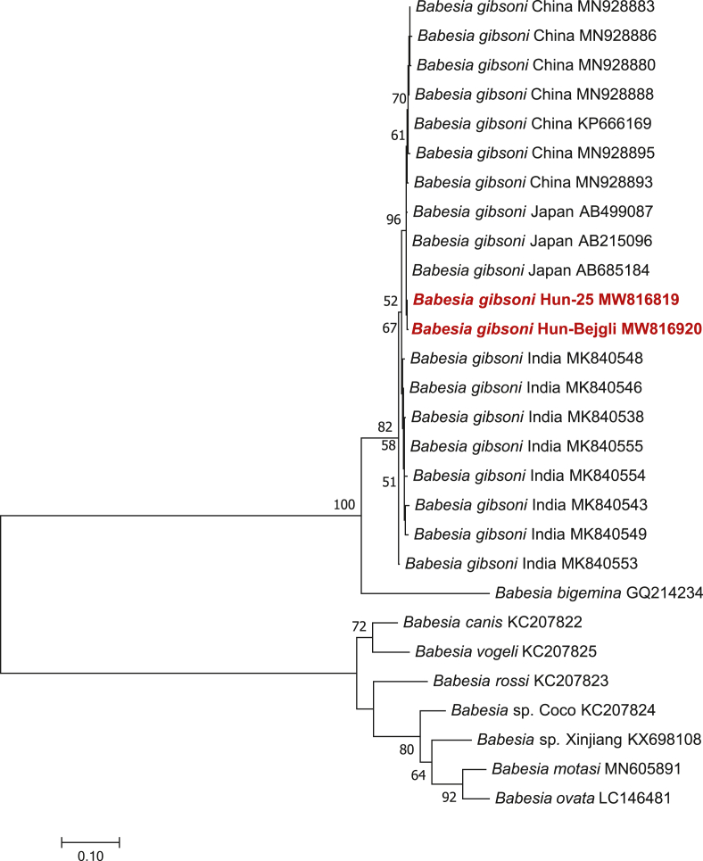 Fig. 3