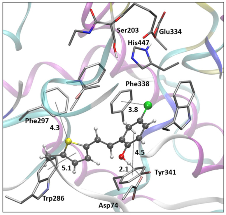 Figure 7