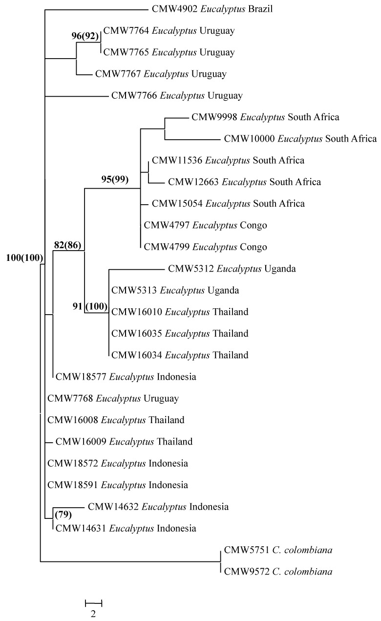 Fig. 2.