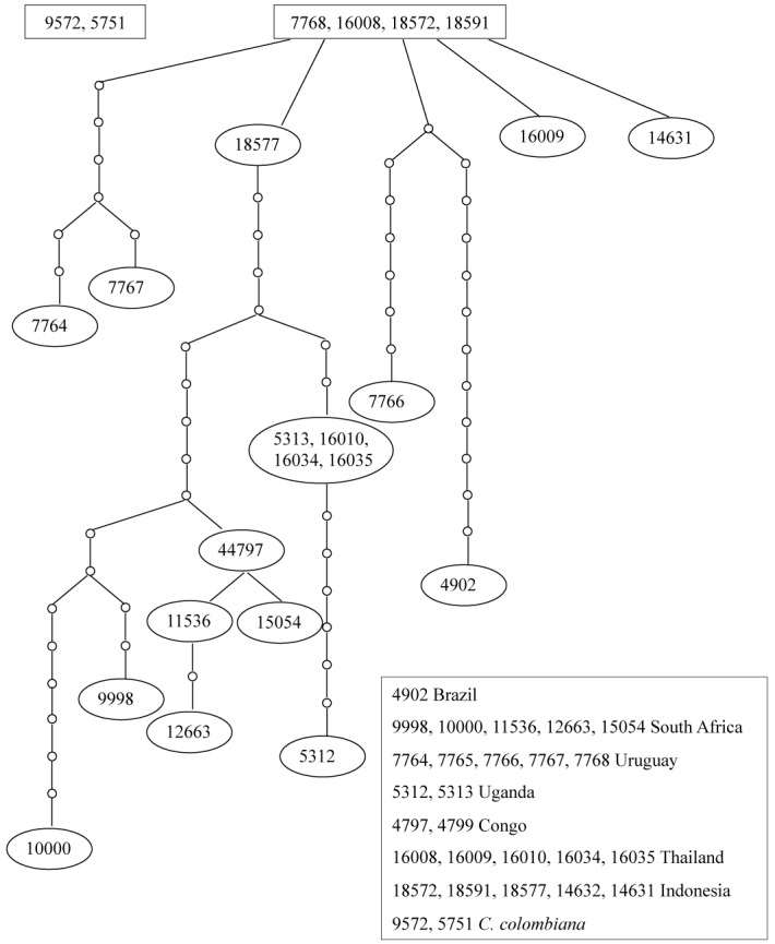 Fig. 4.