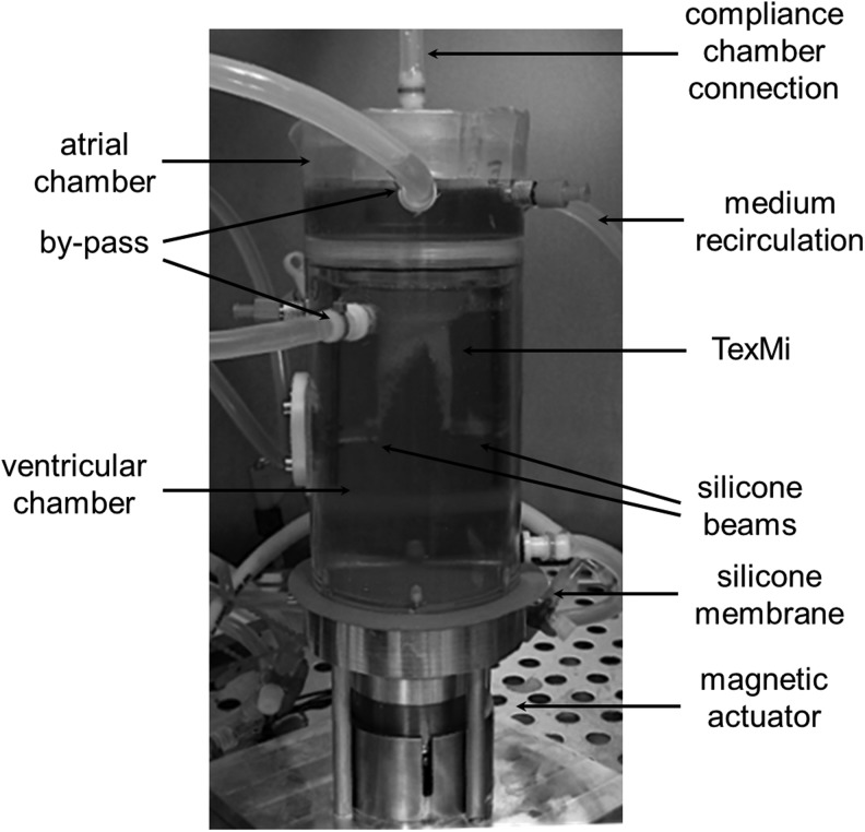 FIG. 2.