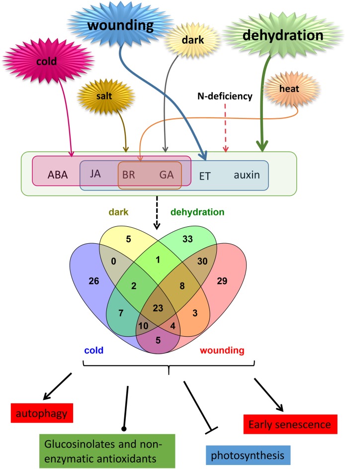 Fig 7