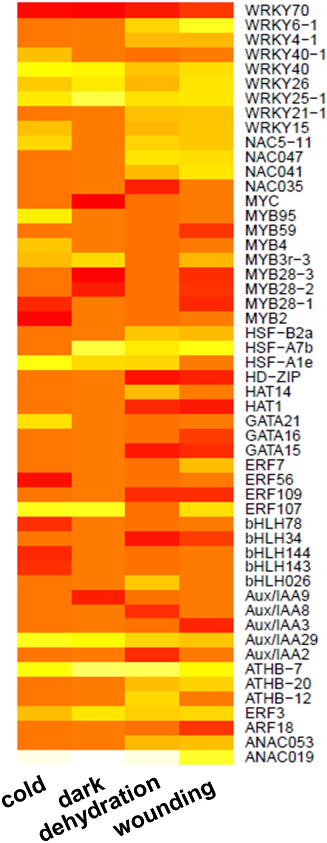 Fig 6