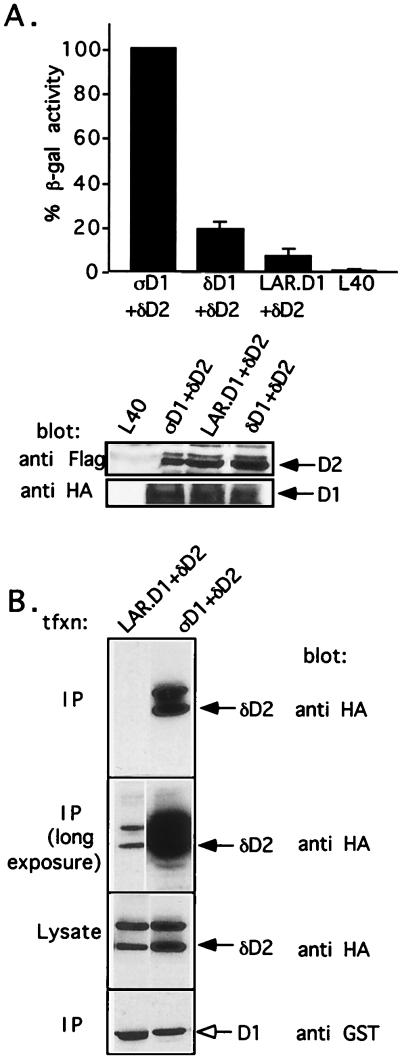 FIG. 7