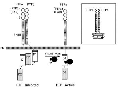 FIG. 8