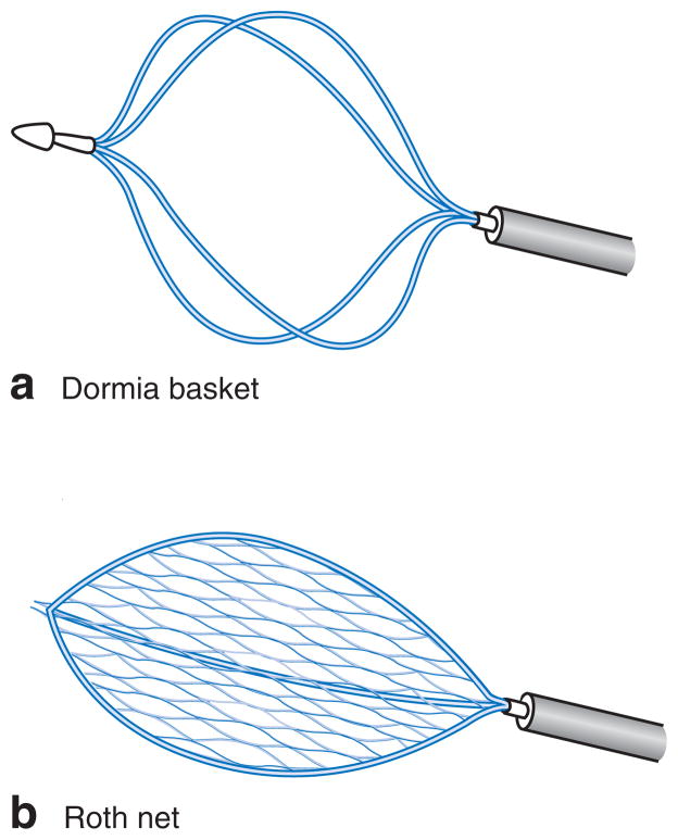 Fig. 5