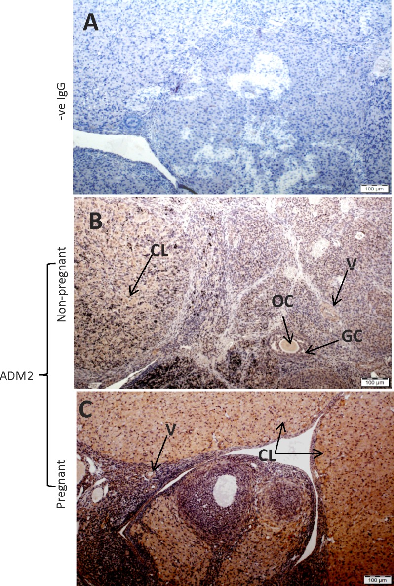 FIG. 6