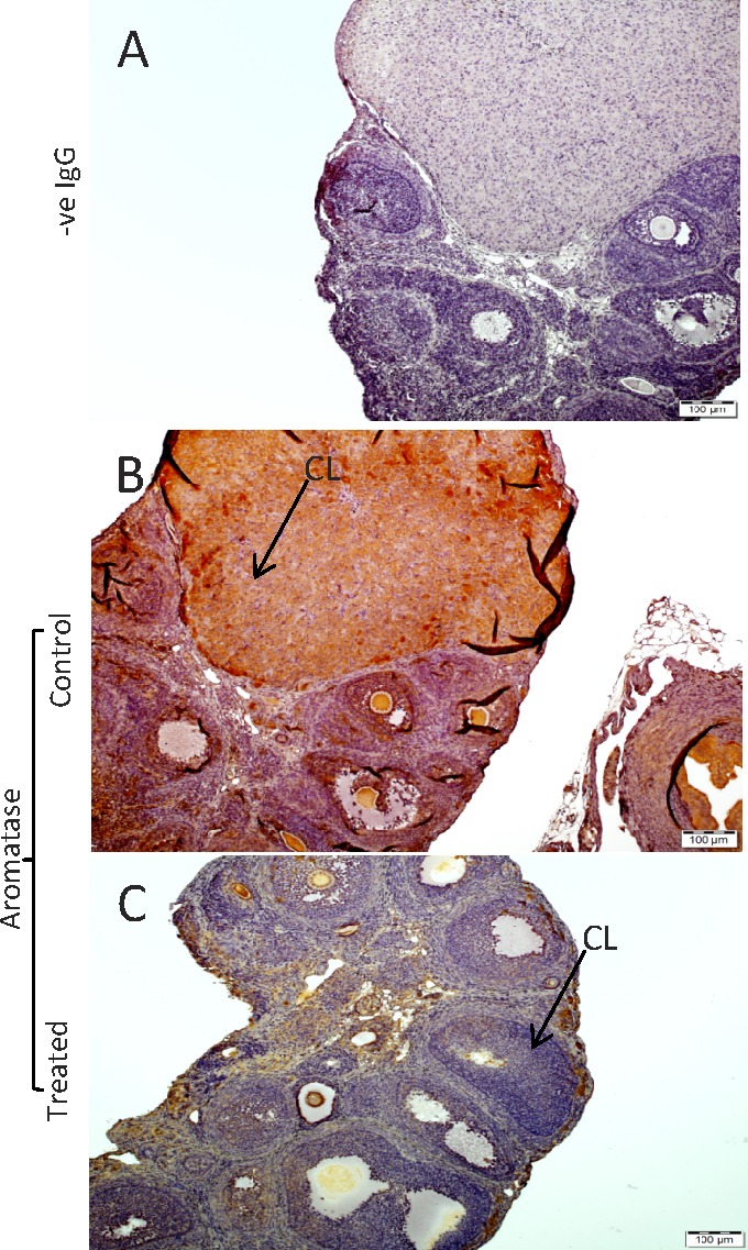 FIG. 7