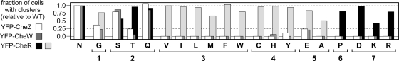 Fig. 5.