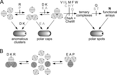 Fig. 8.