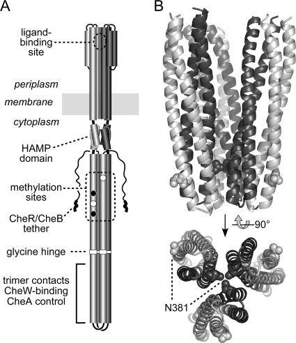 Fig. 1.