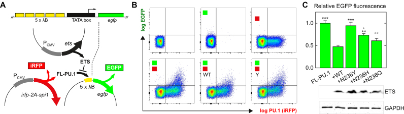 Figure 5.