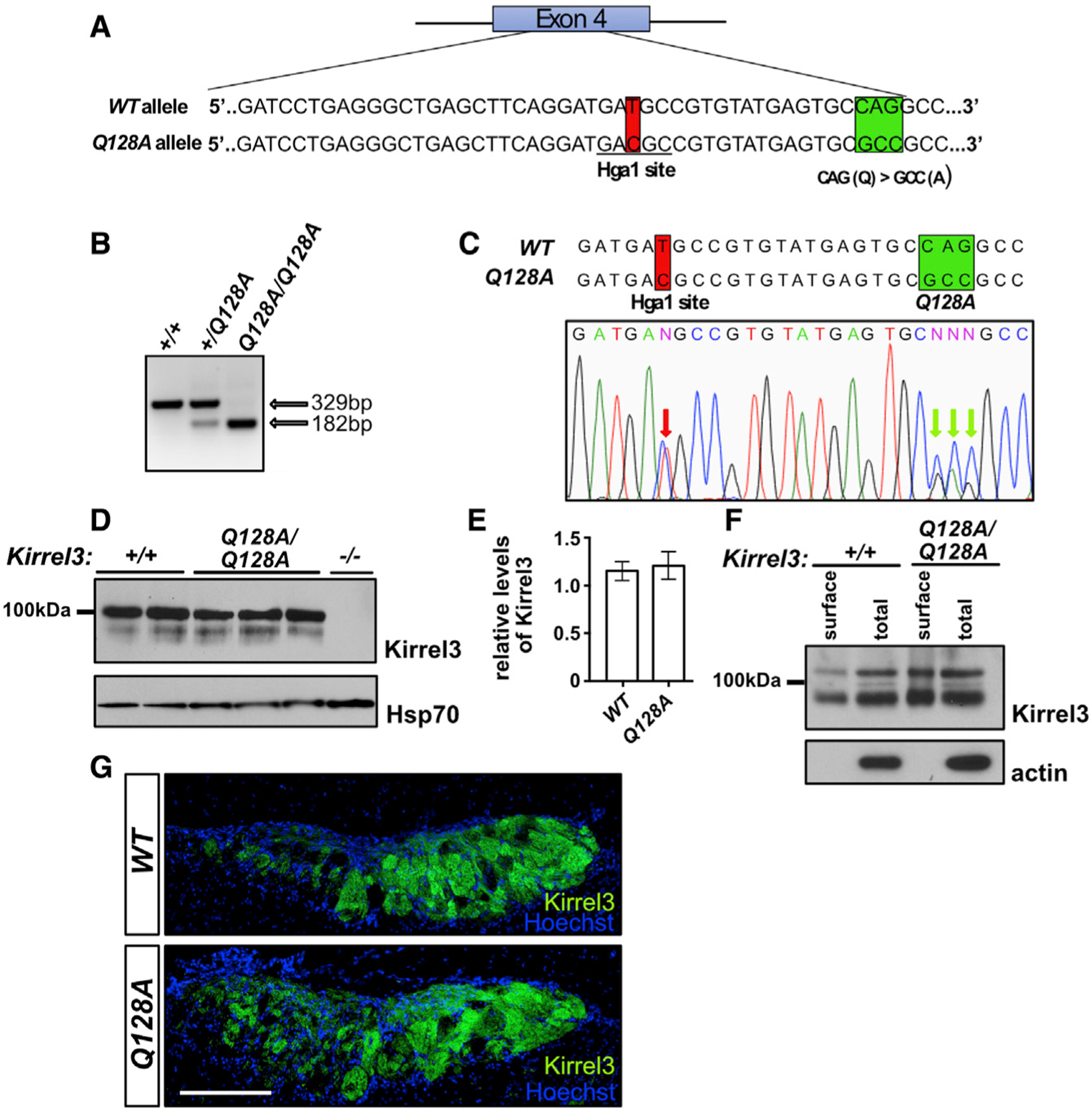 Figure 6.