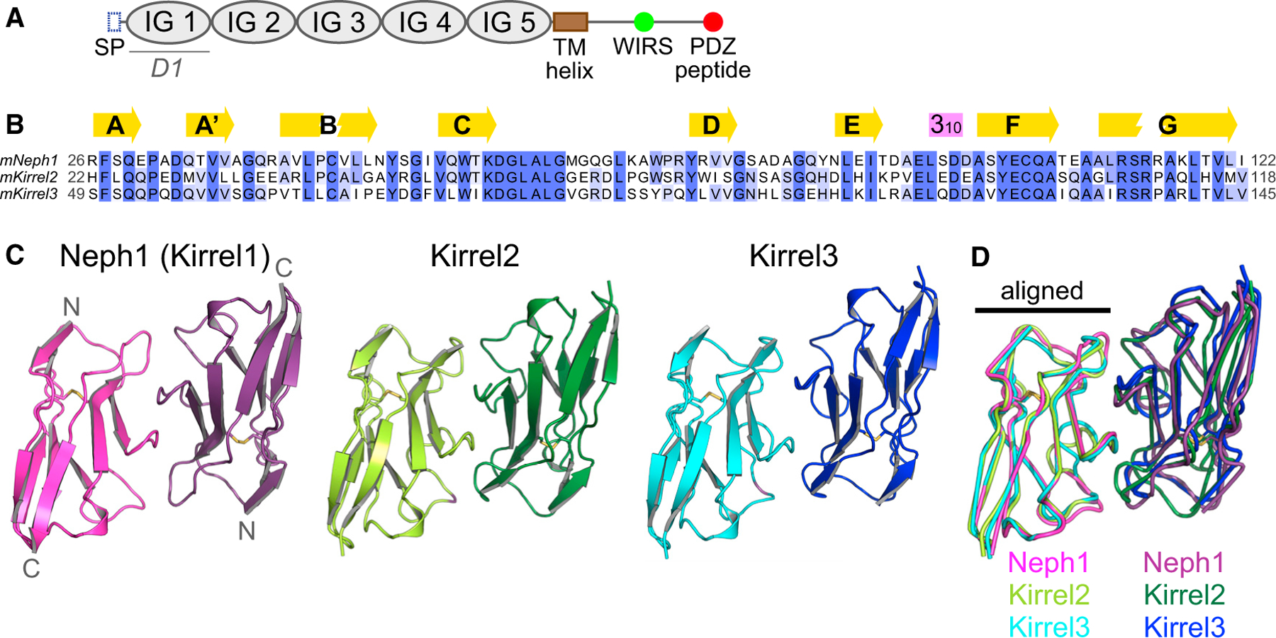 Figure 1.