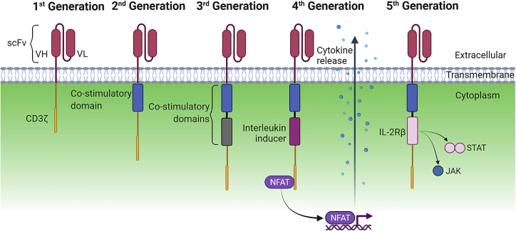 Figure 1