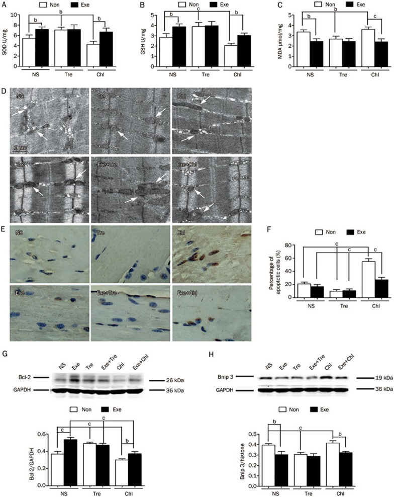 Figure 3A-3H