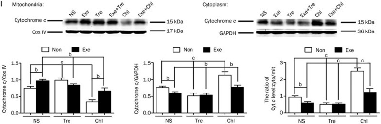 Figure 3I