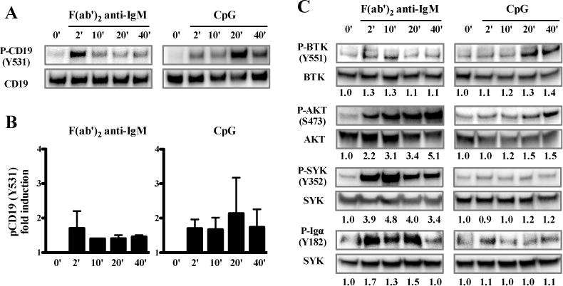 FIG 2