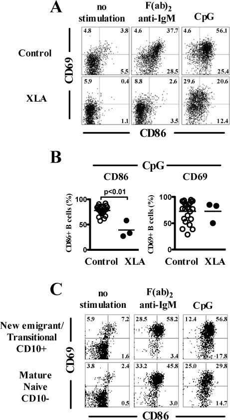 FIG 7