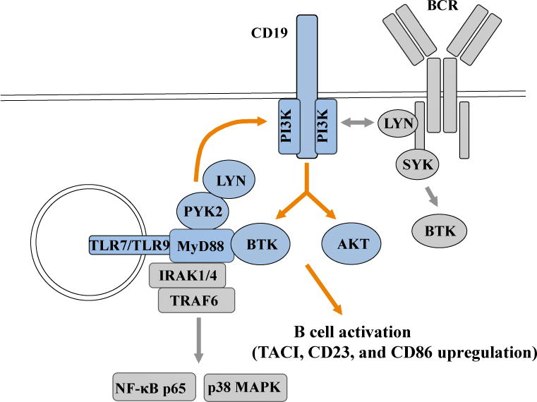 FIG 8