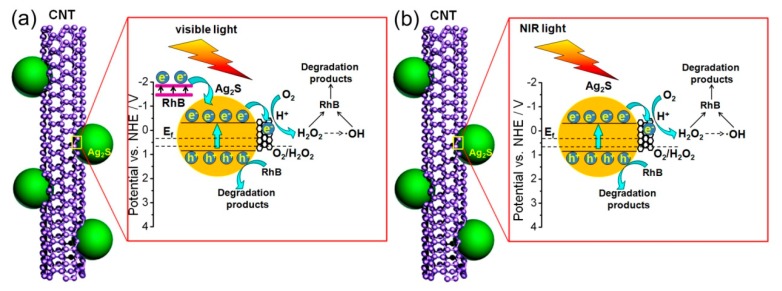 Figure 10