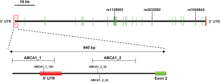 FIG. 2.