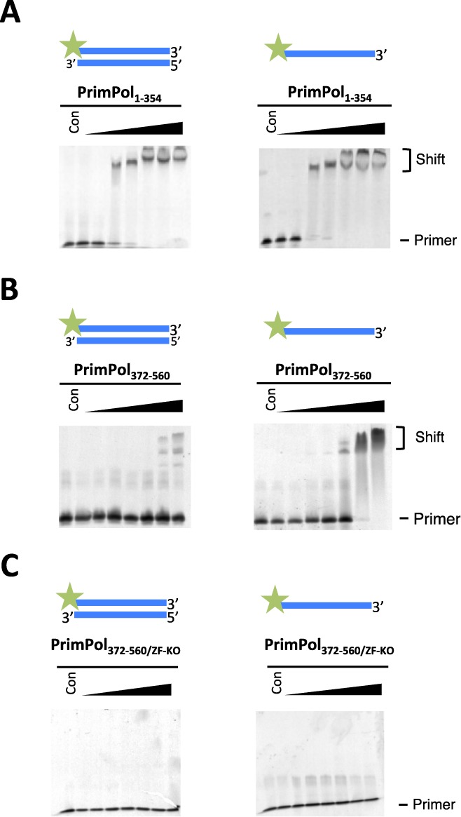 Figure 5.