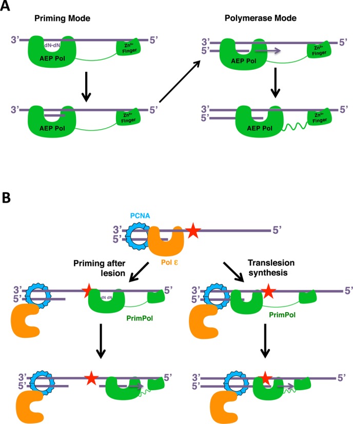 Figure 10.