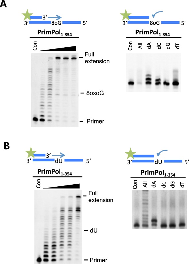 Figure 7.