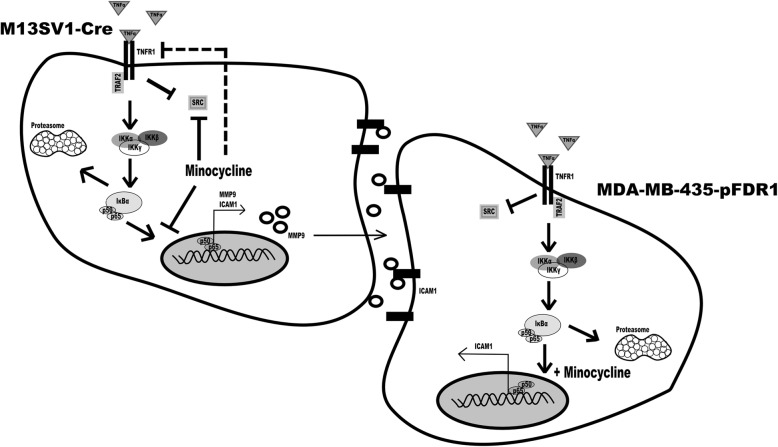 Fig. 11