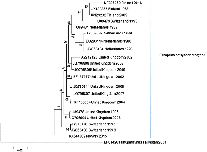 Fig. 2