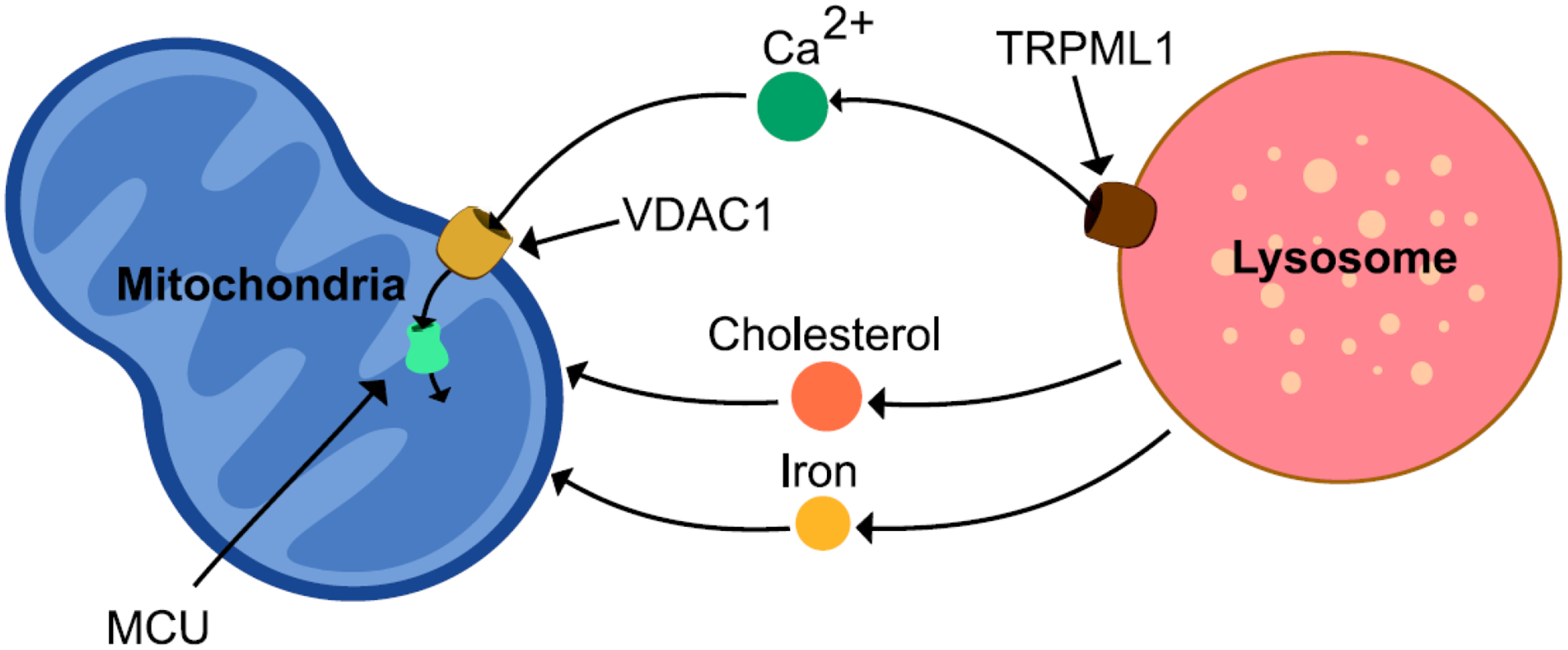 Figure 3.