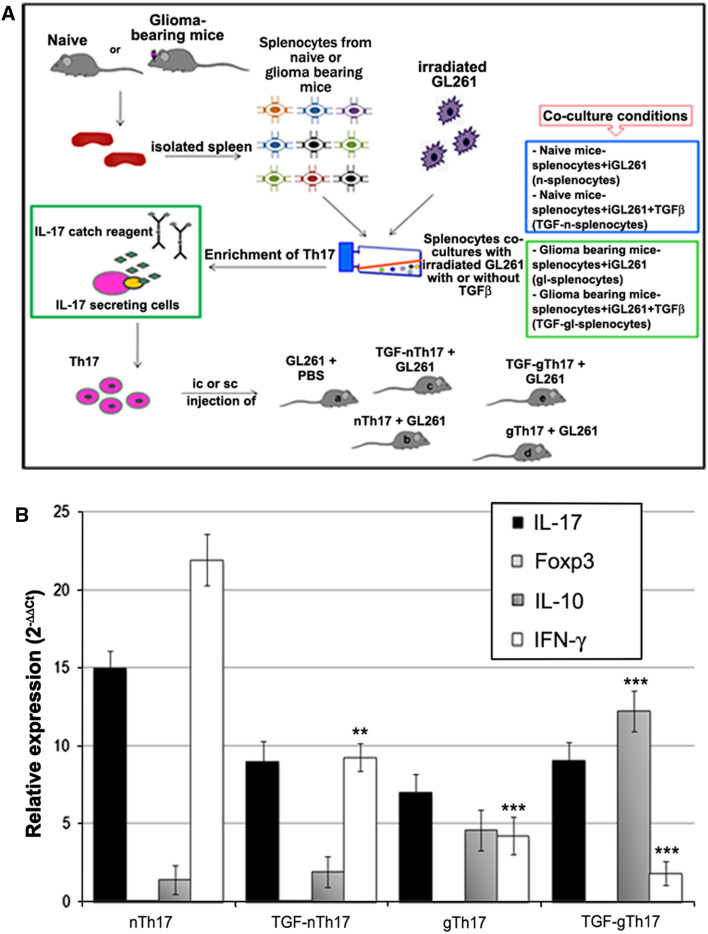 Fig. 3