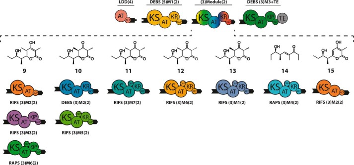 FIGURE 4.