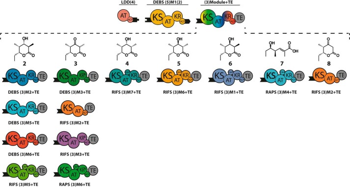 FIGURE 3.